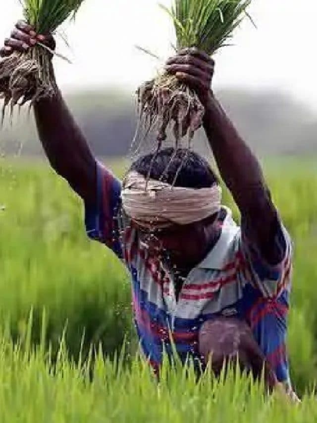 डब्ल्यूटीओ के कुछ सदस्य देशों ने भारत की कृषि सब्सिडी पर उठाए सवाल