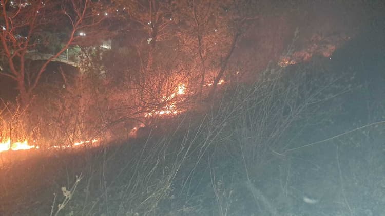 सिंगरा स्थान पहाड़ की झाड़ी में लगी आग, अग्निशमन बुझाने में जुटा