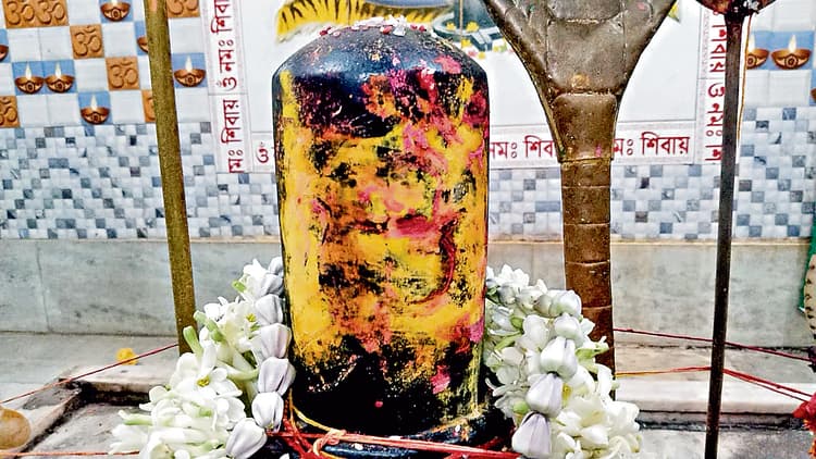शिवलिंग पर महादेव की आकृति देखने उमड़ी भीड़