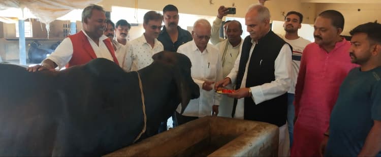 भाजपा के क्षेत्रीय संगठन मंत्री ने किसान डेयरी फॉर्म का किया भ्रमण