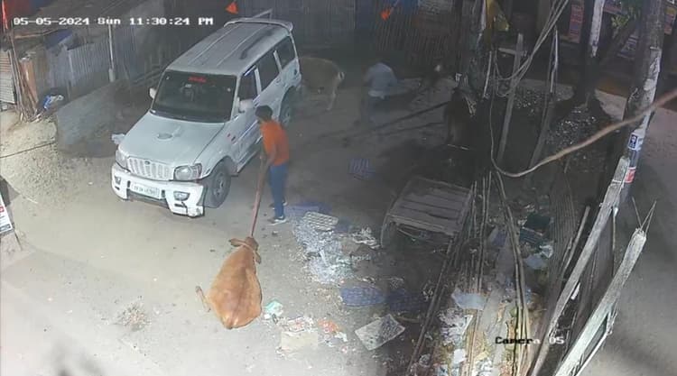 हाईटेक हुए चोर, स्कार्पियो पर मवेशी लाद कर हुए फरार