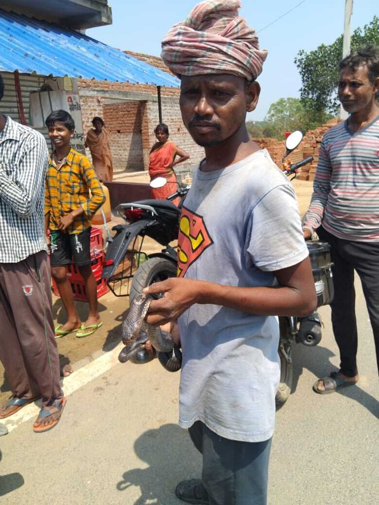 कालुपहाड़ी के झापु मुर्मू लोग कह रहे हैं विष पुरुष