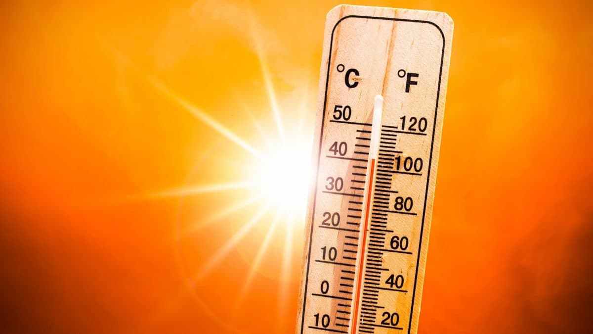 Heat Wave: झारखंड के कोल्हान में लू से 9 और लोगों की मौत, भीषण गर्मी से दो दिनों में 21 की गयी जान