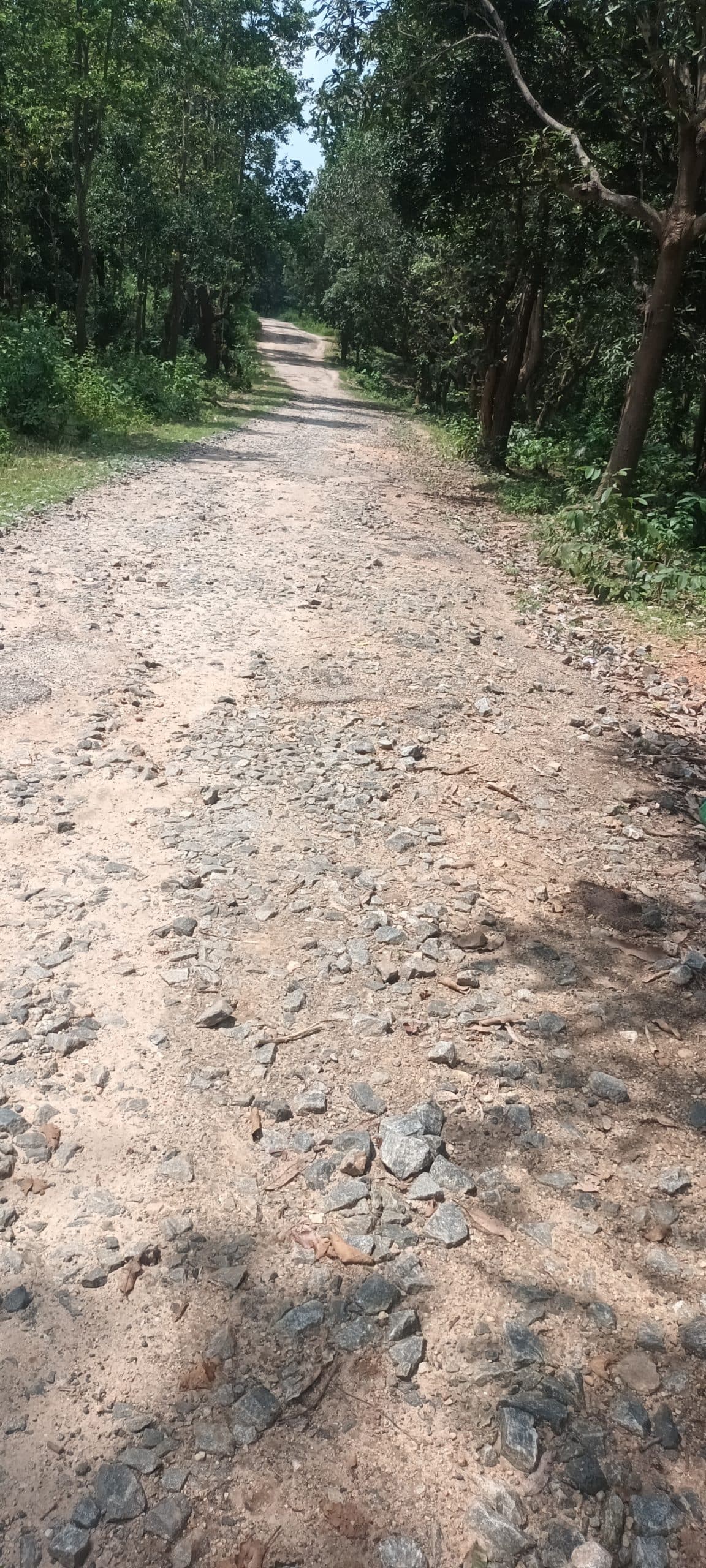 तपकारा से फटका जानेवाली सड़क जर्जर