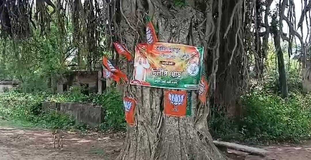 कांकसा जंगलमहल में दलों का चुनाव प्रचार बेजुबान दरख्तों पर भारी