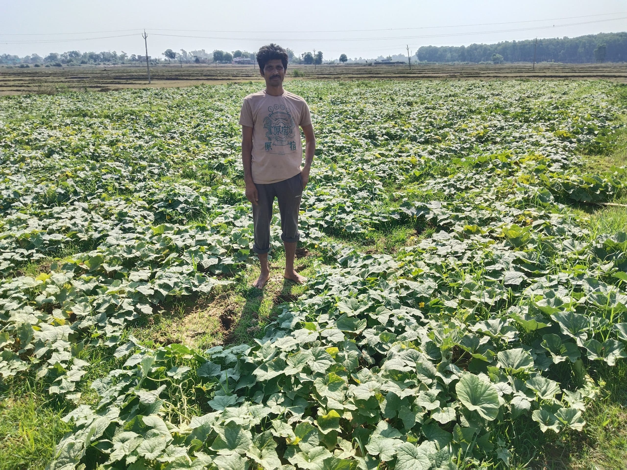 इचाक में कोल्ड स्टोरज नहीं, किसानों को होती है परेशानी