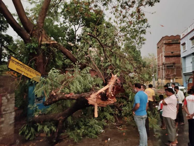 तेज आंधी बारिश से हुई भारी क्षति, दर्जनों पेड़ गिरे कई जगह पोल गिरने से बिजली आपूर्ति ठप