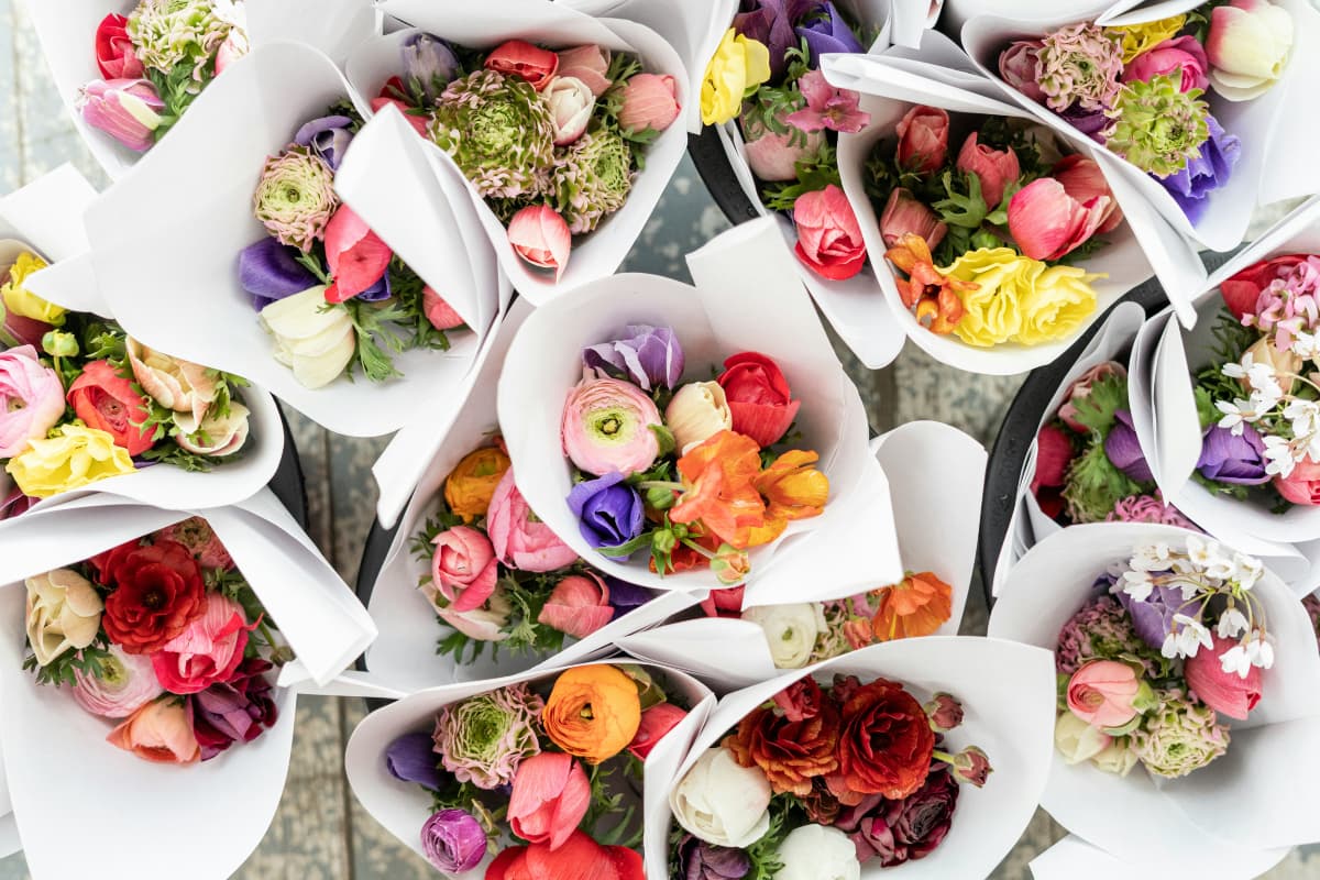 Floral Waste से आप भी शुरू कर सकते है व्यापार, जानिए कैसे मिल रहा सर्कुलर इकॉनमी को बढावा