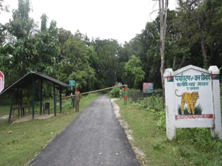 VTR: 15 जून से बंद होगा वाल्मीकिनगर टाइगर रिजर्व, 4 महीने बाद पर्यटक कर पायेंगे खूबसूरती का दीदार