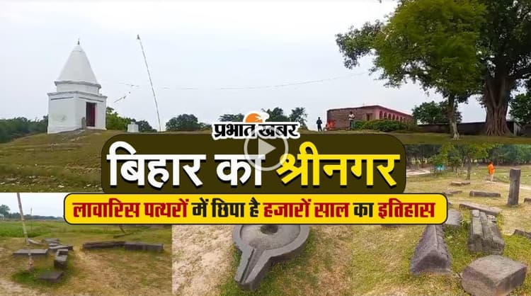 Madhepura : बिहार के इस गांव में लावारिस पड़ी हैं नौवीं सदी की दर्जनों प्रतिमाएं