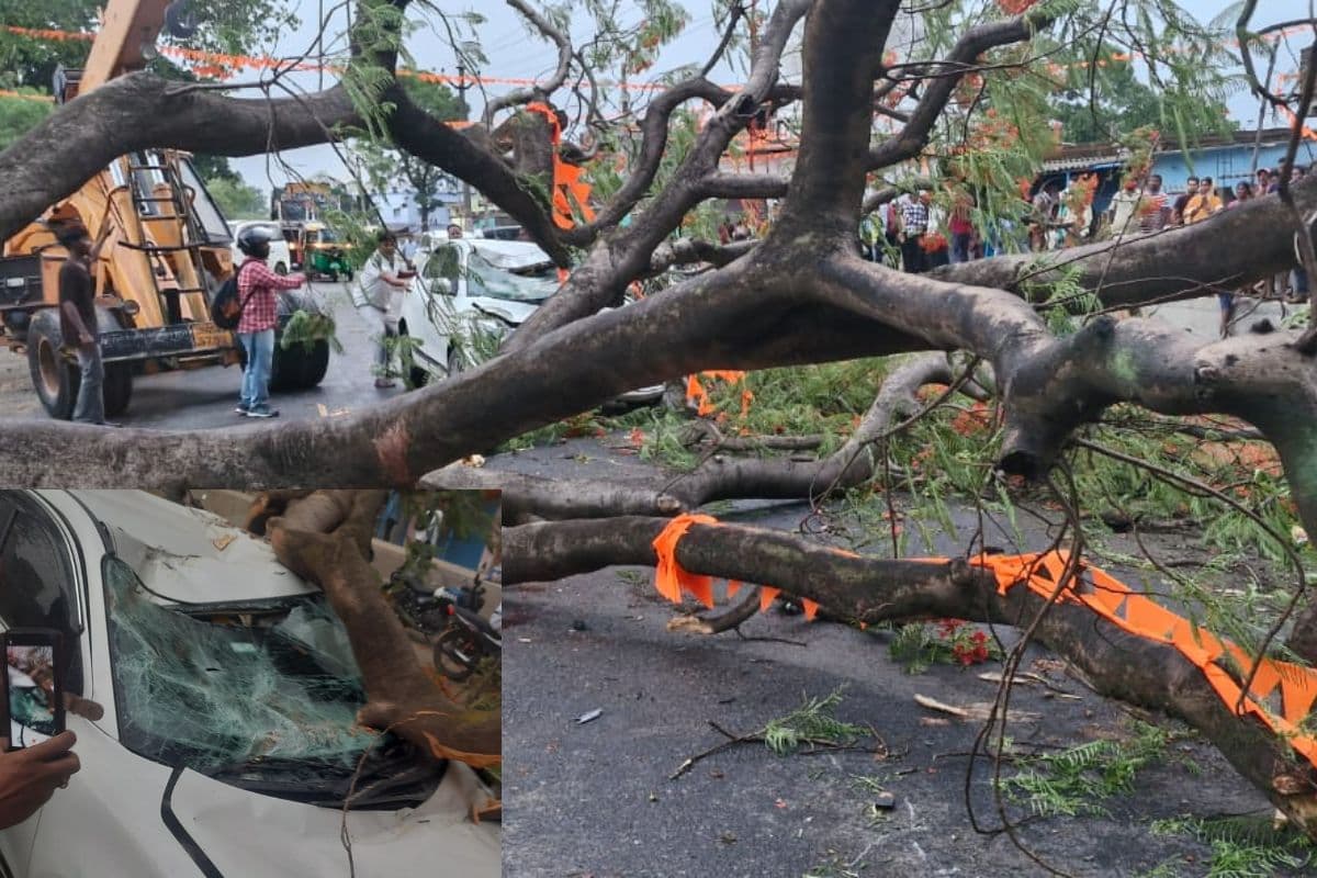 रांची में बदला मौसम, आंधी में विशाल पेड़ वाहनों पर गिरने से दो की मौत, तीन की हालत गंभीर, रिम्स में भर्ती