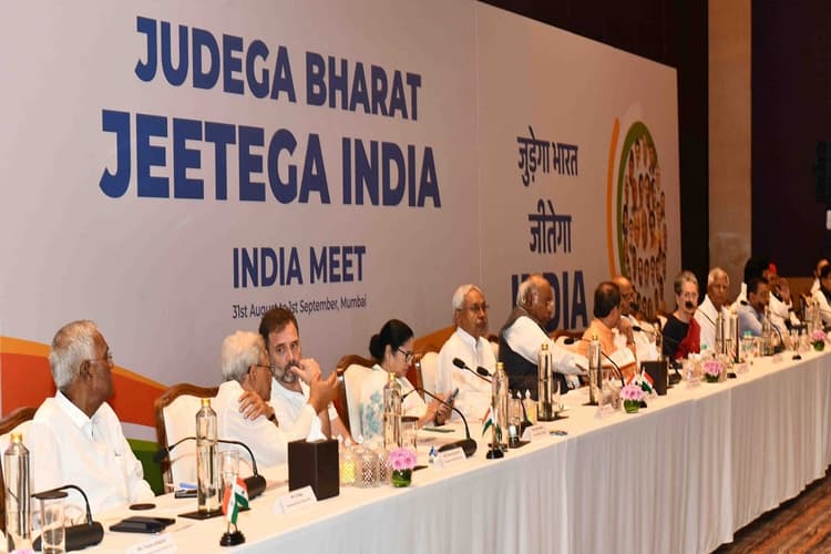 Lok Sabha Elections 2024: लोकसभा चुनाव में इंडिया गठबंधन ने ऐसे दी भाजपा को शिकस्त