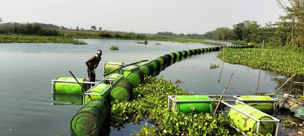 Supaul News : मछली पालन से समृद्ध हो रहा सुपौल