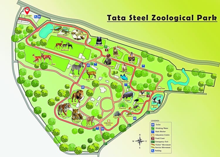 jamshedpur tata zoo टाटा जू में बनेगा स्नेक पार्क, आयेगा एनाकोंडा, कई नये जानवर भी आयेंगे