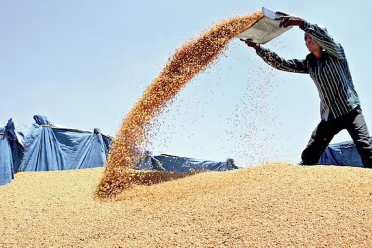 महंगाई पर सरकार का वार : गेहूं की स्टॉक लिमिट निर्धारित, रडार पर जमाखोर