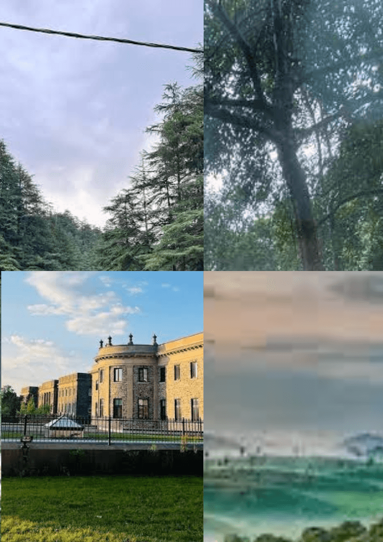 Best Places to Visit in Summer : अगर गर्मी से हो गए हैं परेशान, तो ये 5 जगहें हैं आपके लिए खास