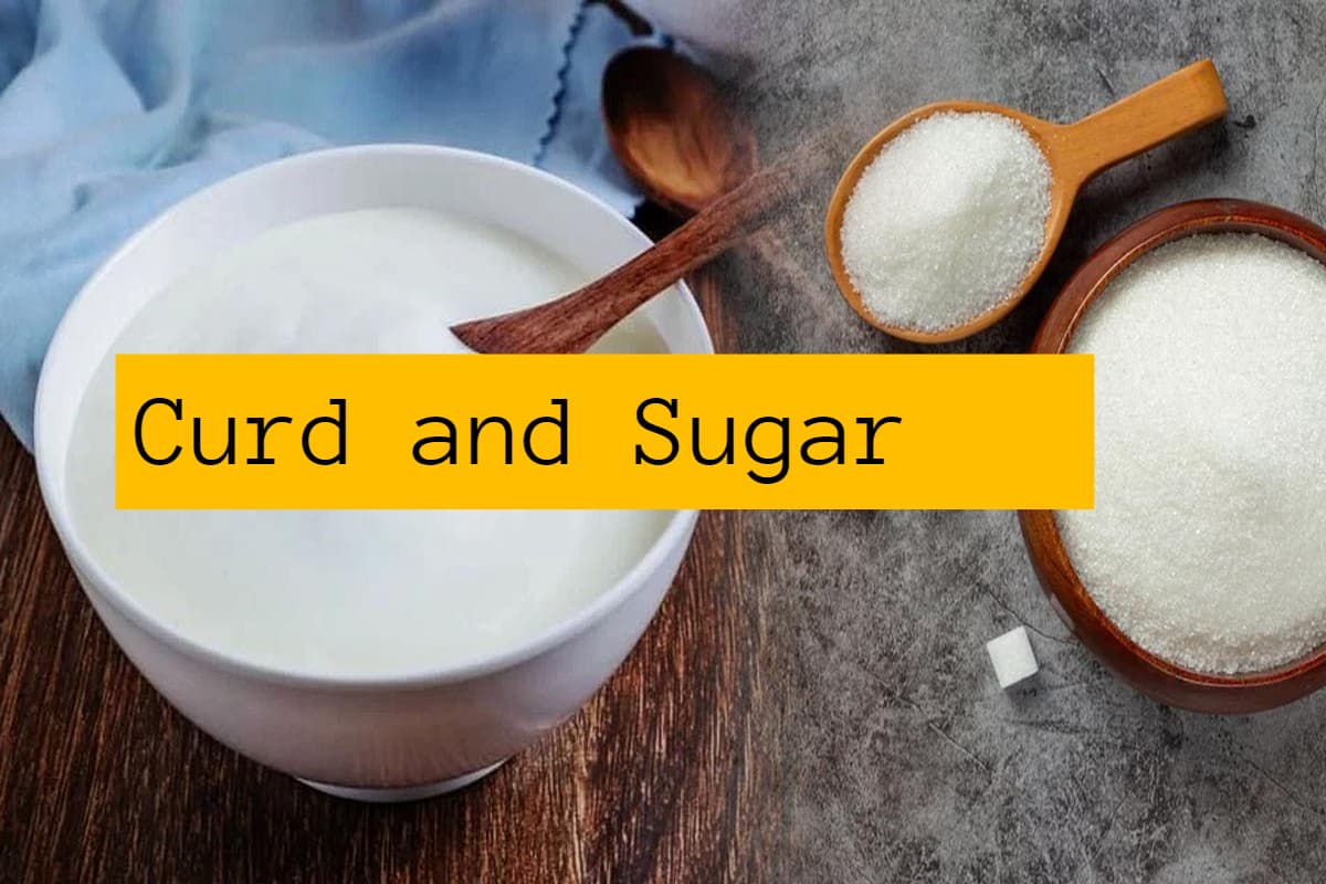 Curd and Sugar: दही में चीनी मिलाकर खाने से होने वाले 5 सबसे बड़े फायदे