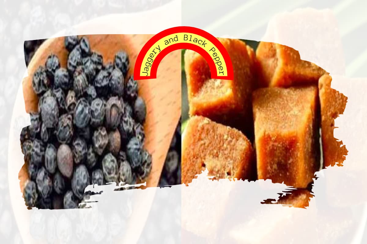 Jaggery and Black Pepper: गुड़ और काली मिर्च दोनों एक साथ खाने से होने वाले 5 सबसे बड़े फायदे