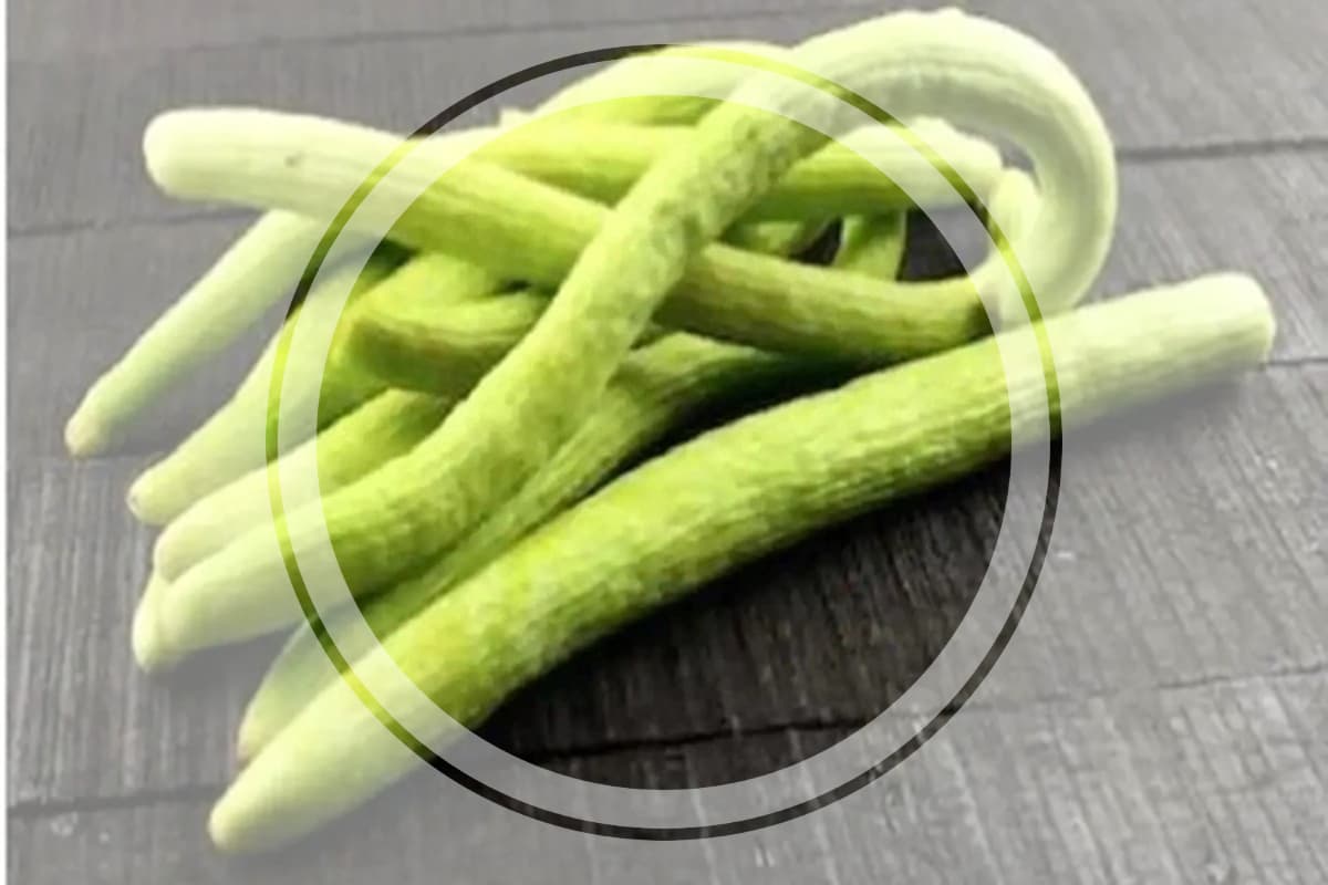 Kakdi: ककड़ी खाने के 5 सबसे बड़े और अद्भुत फायदे