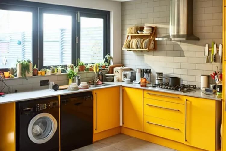 किचन की ये 3 गलतियां आपको बना देगी कंगाल, हर वक्त बीमारी से रहेंगे परेशान