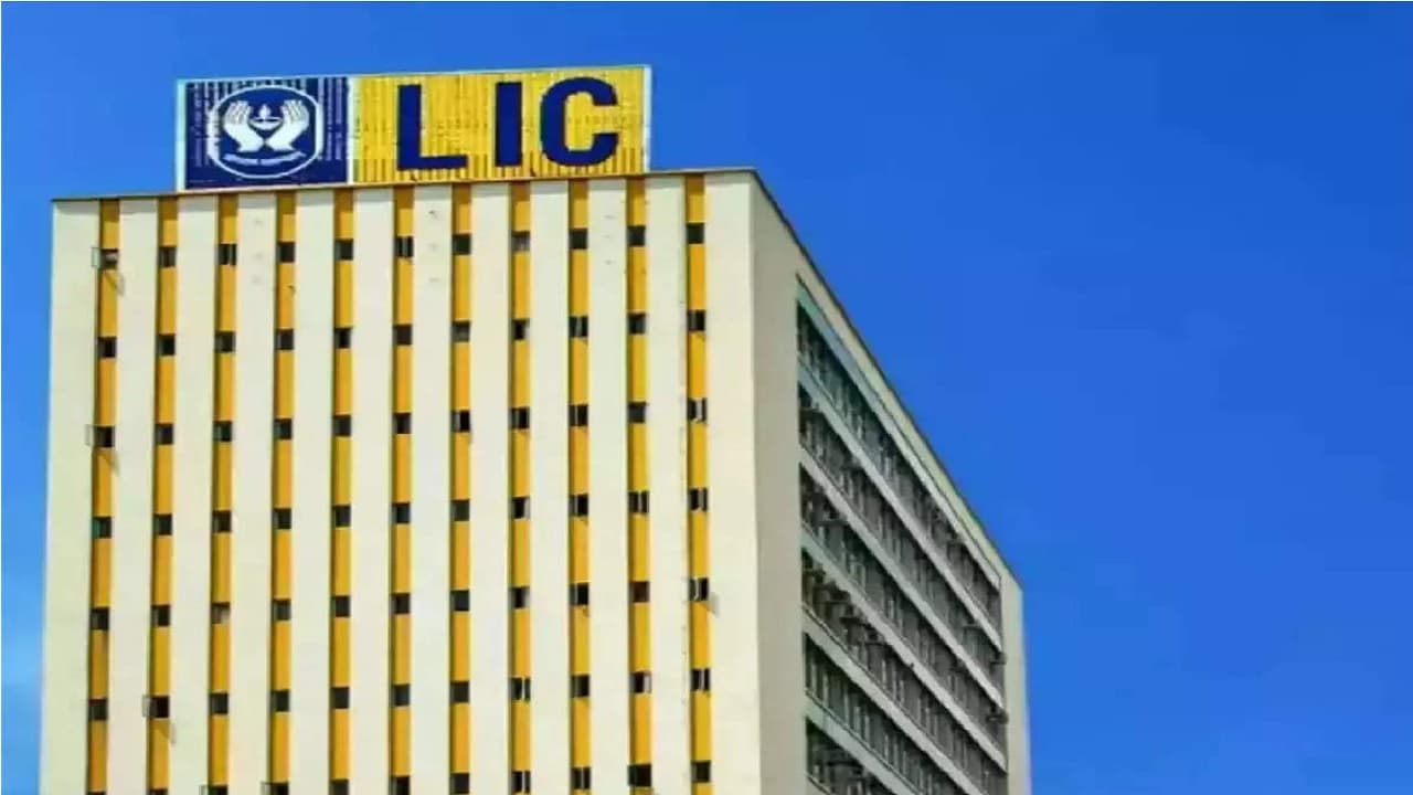 लॉन्ग टर्म के लिए LIC के किस प्लान में पैसा लगाने से होगा फायदा? जानें डिटेल