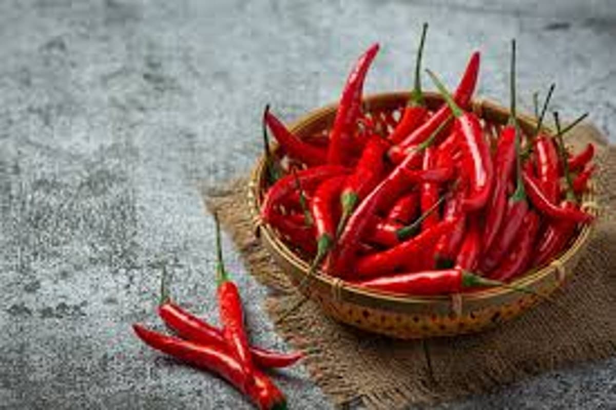 Red Chilli: लाल मिर्च खाने से होने वाले 5 नुकसान