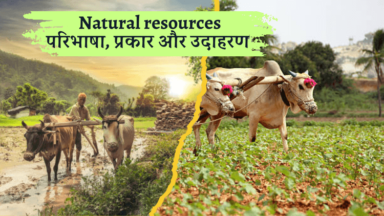 Natural resources: पीसीएस या अन्य प्रतियोगी परीक्षाओं में इससे पूछे जाते हैं प्रश्न