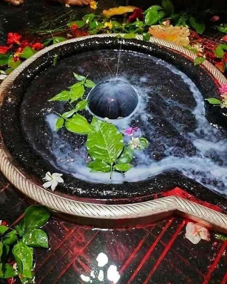 Baba Baidyanath Dham: सावन के महीने में में देवघर में लाखों शिवभक्तों का होता है समागम