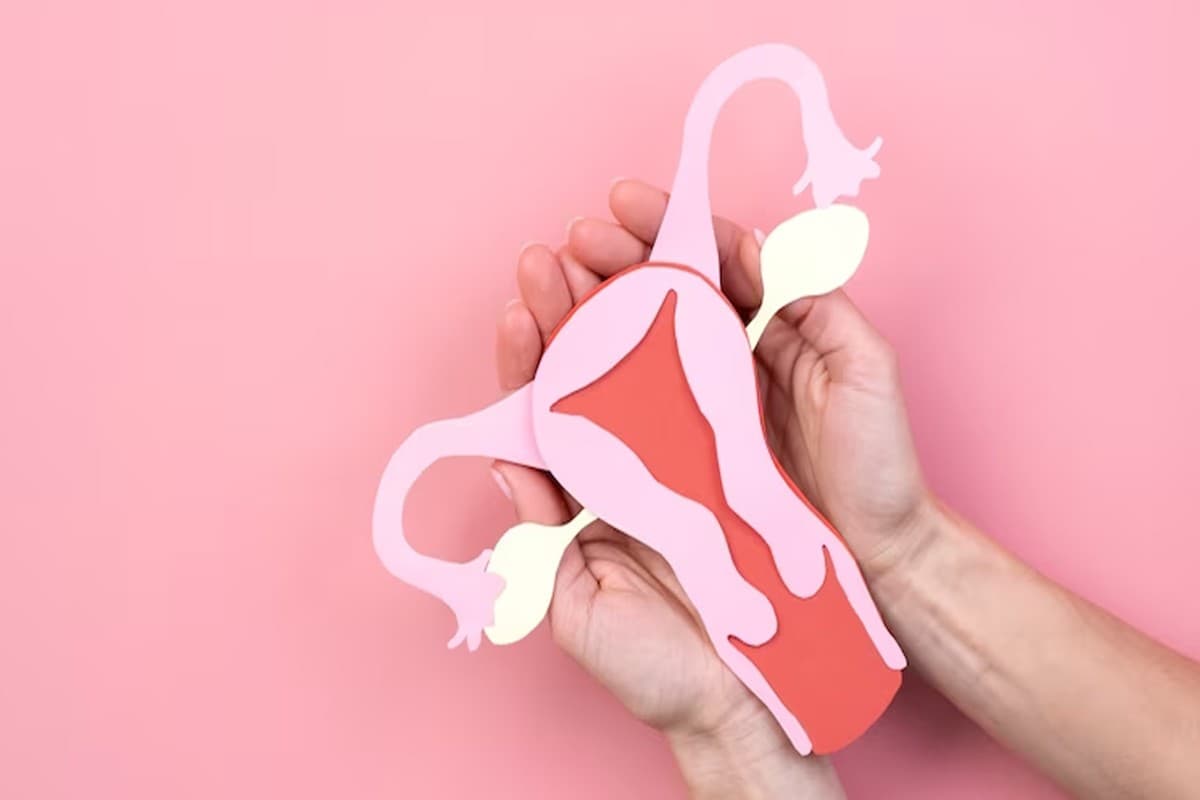 White Discharge: सफेद पानी की समस्या को करना है ठीक तो पिएं ये आसान घरेलू ड्रिंक