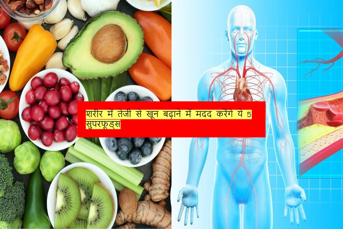 Blood: शरीर में तेजी से खून बढ़ाने में मदद करेंगे ये 5 सुपरफूड्स