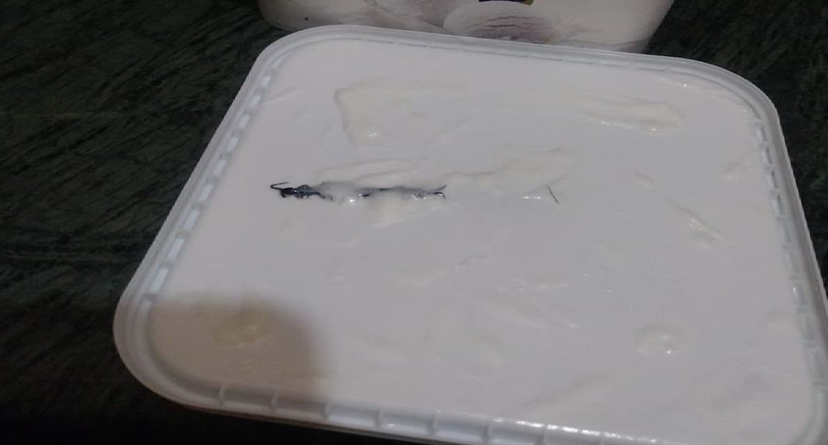 आइसक्रीम में मिला कनखजूरा, कंपनी ने प्रोडक्ट मांगा वापस