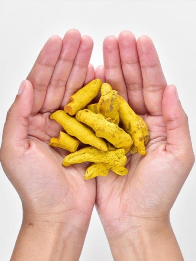 Haldi ke Upay: प्रेम सम्बन्ध, धन प्राप्ति और बुरे सपनों से मुक्ति के लिए जानिए विशेष उपाय