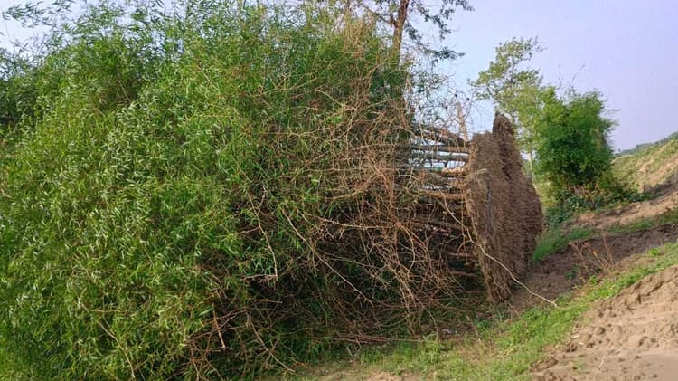 तेज आंधी से विद्युत आपूर्ति व्यवस्था चरमरायी