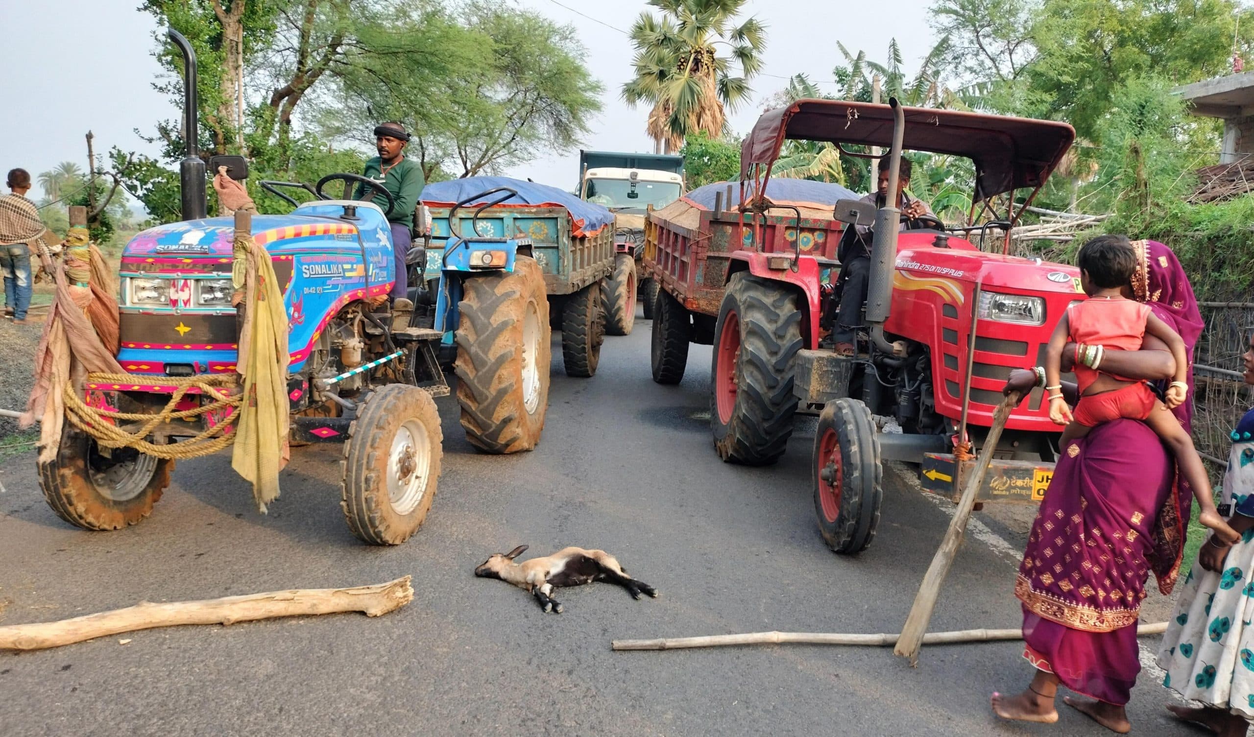 वाहन की चपेट में आने से बकरी मरी, सड़क जाम