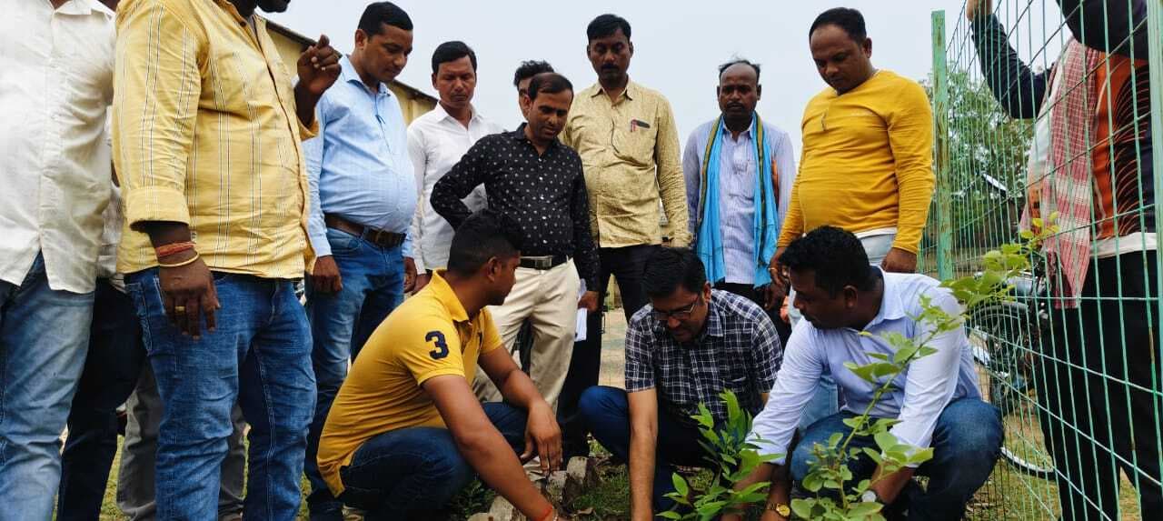 बीडीओ ने इल्डर्स क्लब परिसर में किया पौधरोपण