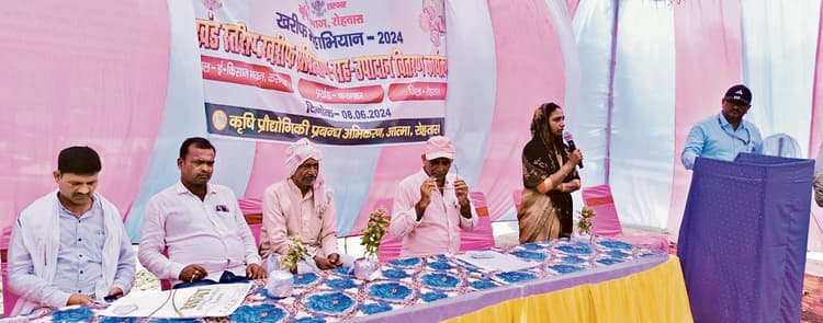 पैदावार बढ़ाने के लिए संतुलित यूरिया का प्रयोग करना ही कारगर