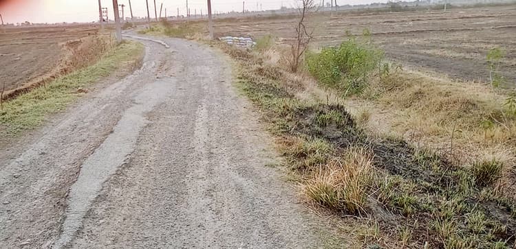 बलथरी-शेख बहुआरा सड़क की हालत खराब, फुटपाथ भी बेहाल