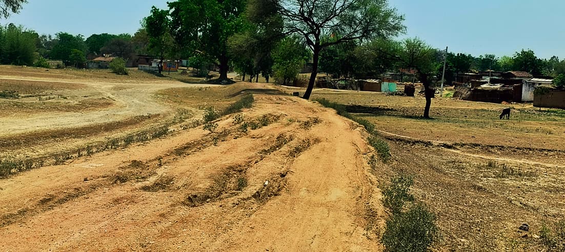 Jamui News : सड़क सुविधा से वंचित हैं कोल्हुआ भोलानगर महादलित टोला के निवासी