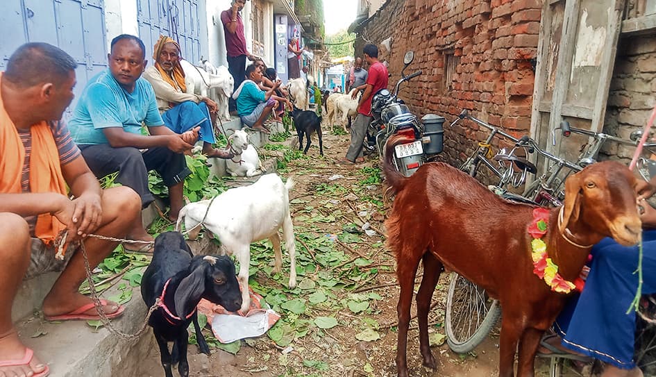 बकरीद की तैयारी को लेकर बाजारों में बढ़ी रौनक