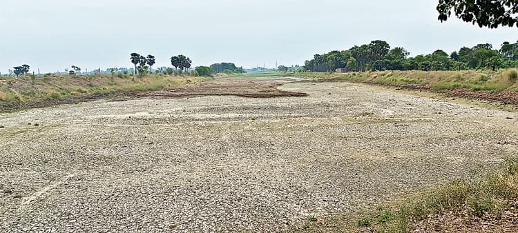 रख-रखाव के अभाव में बदहाली का दंश झेल रहा दिग्घी पोखर