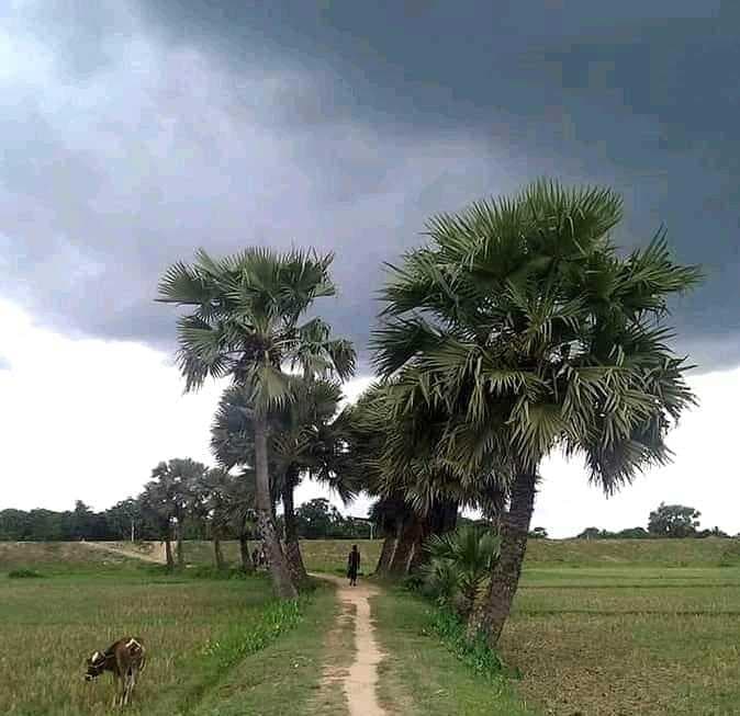 प्री-मानसून की पहली बारिश ने पहुंचायी राहत