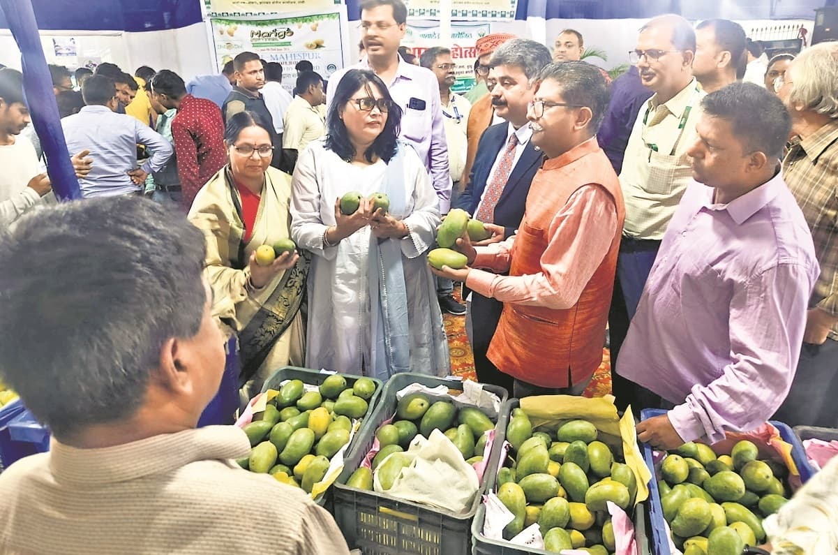 खरीद लीजिये, नाबार्ड लाया कार्बाइड मुक्त आम