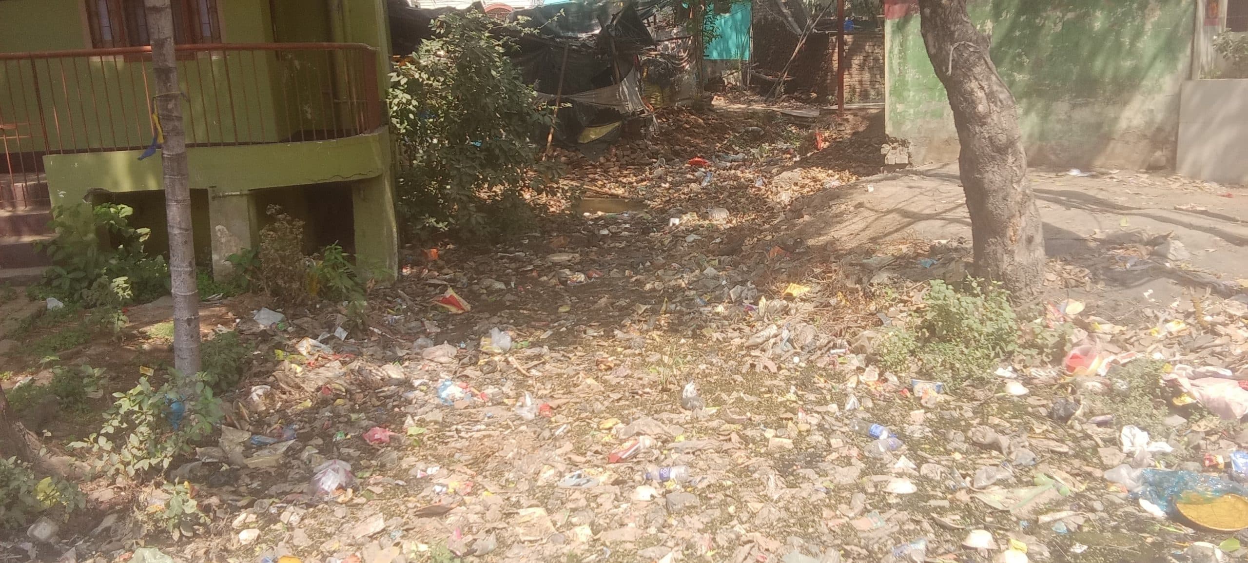 हाथीखाना मोड़ से नया टोला पुल तक नाले पर अतिक्रमण