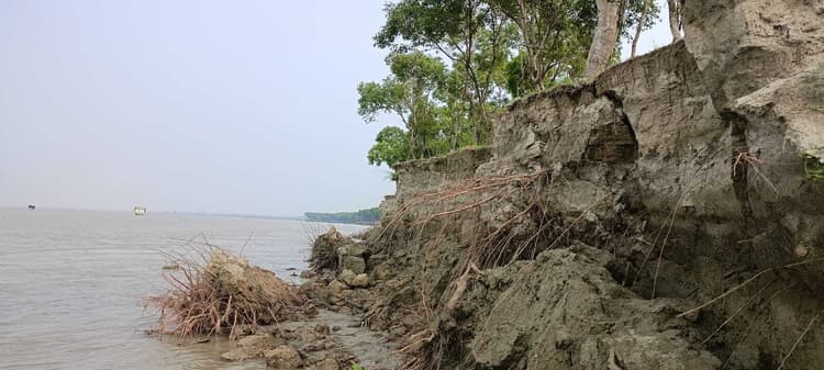 गंडक नदी के कटाव से वीटीआर के जंगल के अस्तित्व पर खतरा