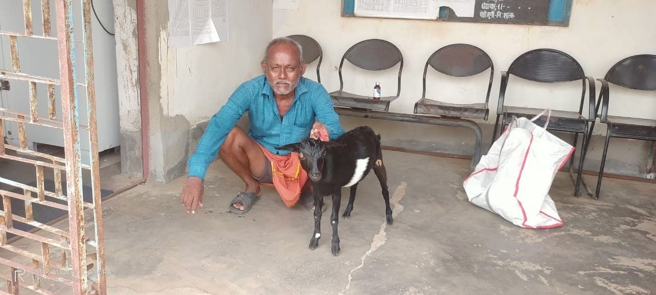 पशु चिकित्सक के गायब रहने से पशुपालक परेशान