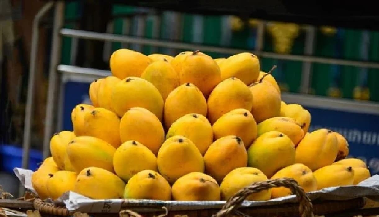 jardalu aam jardalu aam
