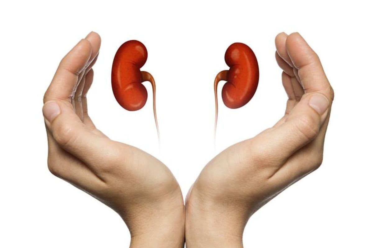 Kidney health: किडनी की पथरी से बचाव और घरेलू उपाय