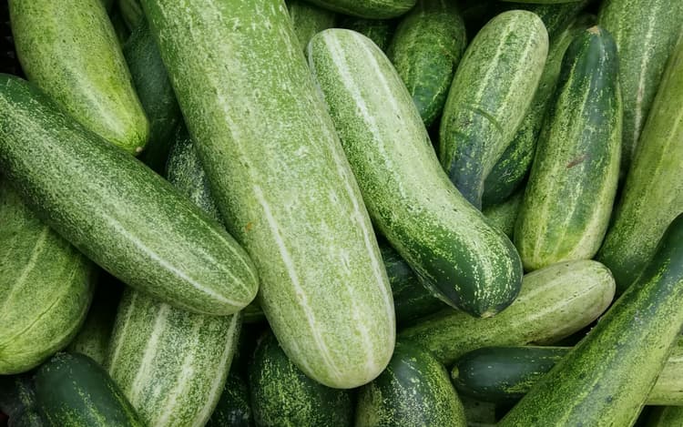 Health Tips: इन सब्जियों के छिलके में भी हैं कमाल के गुण, फायदे जानकर चौंक जाएंगे आप