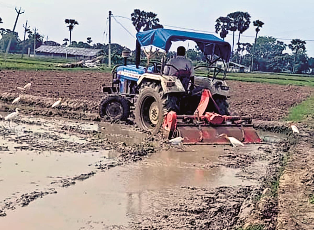 Banka News : वर्षा होते ही कृषि कार्य में आयी तेजी, धान की नर्सरी तैयार करने में जुटे किसान Banka News : वर्षा होते ही कृषि कार्य में आयी तेजी, धान की नर्सरी तैयार करने में जुटे किसान