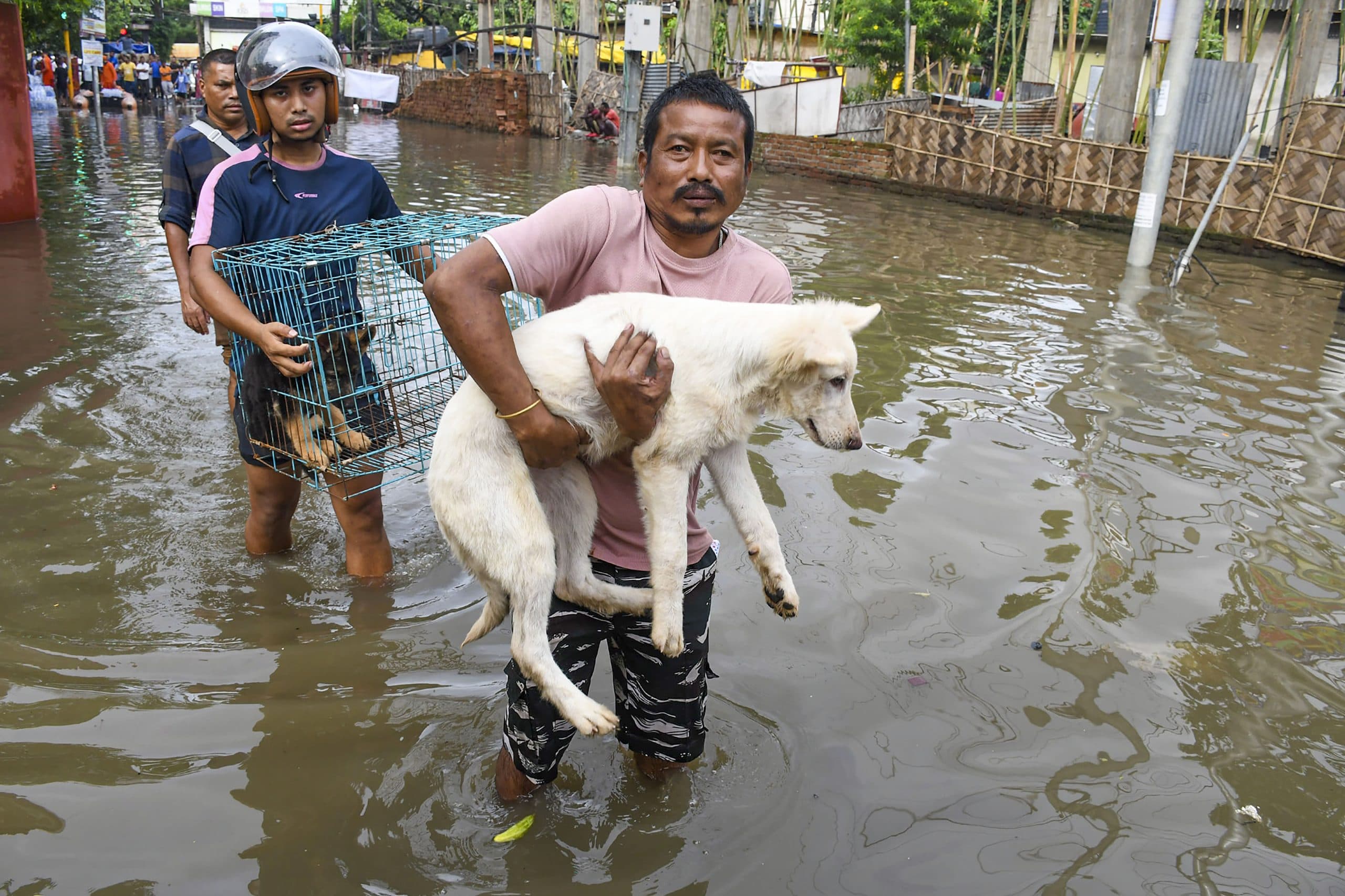 Assam Flood: असम में हर तरफ तबाही, अपनों को ढूंढती बेबस निगाहें, 4 किलोमीटर दूर मिला नाले में गिरे बच्चे का शव